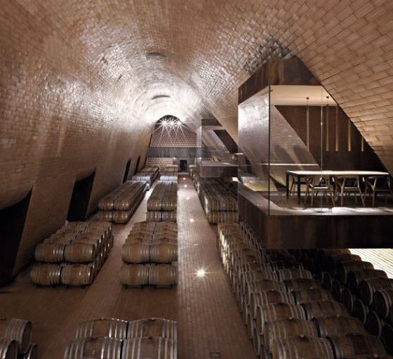 Focus on your business… Invest in wine
