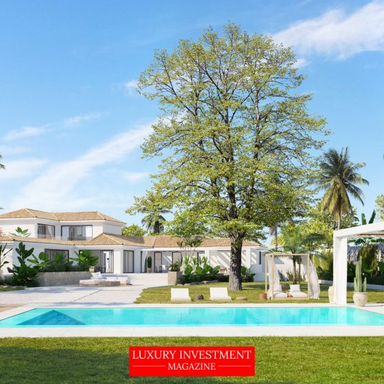 Expert tailor-made real estate services from Grupo Dvos