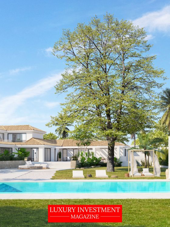 Expert tailor-made real estate services from Grupo Dvos