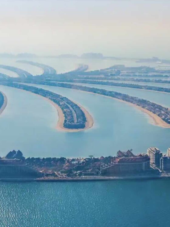 365 Luxury Homes: where excellence meets exclusivity